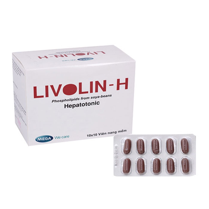 Thuốc Livolin H 300mg, Hộp 100 viên
