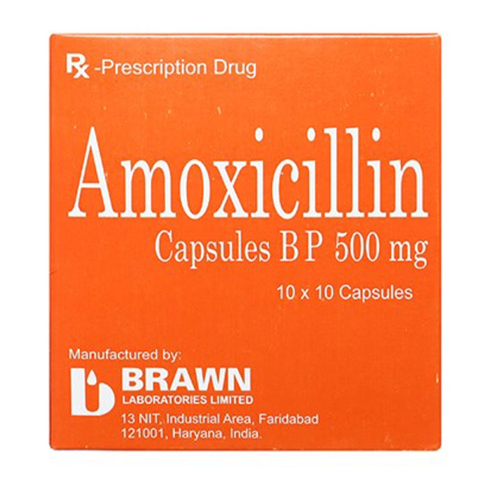 Amoxicillin 500mg Brawn 10 vỉ x 10 viên