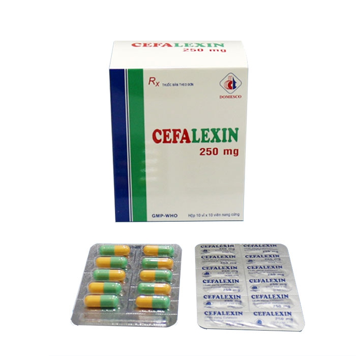 Thuốc kháng sinh DMC Cefalexin 250mg, Chai 200 viên