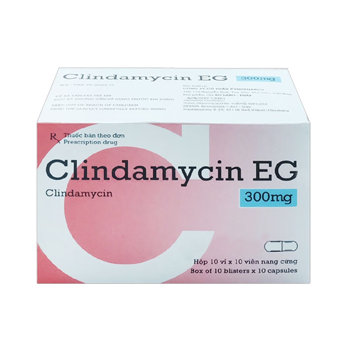Clindamycin EG 300mg PMP 10 vỉ x 10 viên