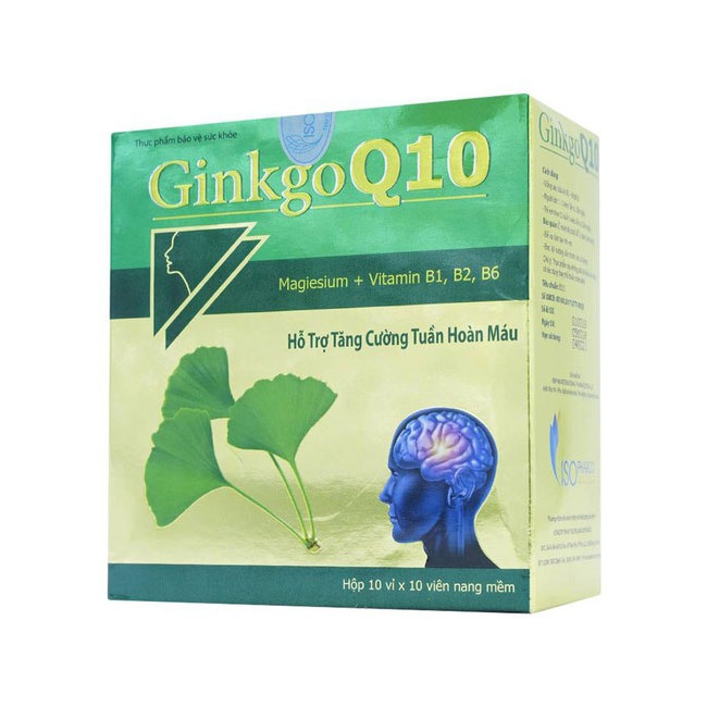 Tpbvsk bổ não Ginkgo Q10 Vinaphar, Hộp 100 viên