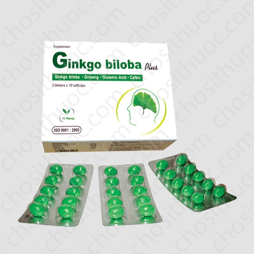 Thực phẩm chức năng Ginkgo Biloba Plus