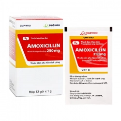 Amoxicillin 250 Agimexpharm 12 gói x 1g