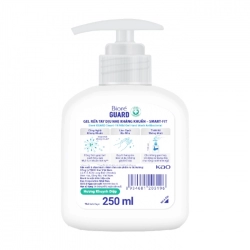 Antibacterial Hand Wash With Smart-Fit Biore 250ml 