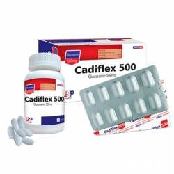 Thuốc hỗ trợ xương khớp Cadiflex 500 - Glucosamin 500mg