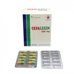 Thuốc kháng sinh DMC Cefalexin 250mg, Hộp 100 viên