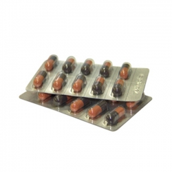 CEFASTAD 500 - Cephalexin 500 mg