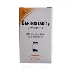 Thuốc kháng sinh Ceftristad 1g   