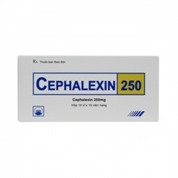 Thuốc kháng sinh PMP Cefalexin 250
