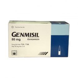 GENMISIL
