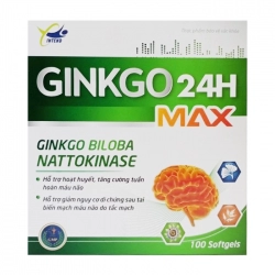 Ginkgo 24H Max Intend 10 vỉ x 10 viên