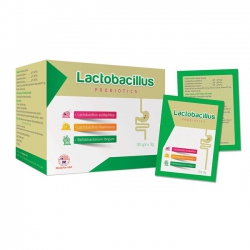 Lactobacillus bổ sung lợi khuẩn giảm rối loạn tiêu hóa