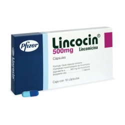 Lincocin 500mg Pfizer 16 viên - Thuốc kháng sinh