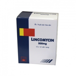 Thuốc kháng sinh Pyme Lincomycin 500mg, Hộp 120 viên ( TẠM HẾT )