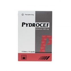PYDROCEF 500 - Cefadroxil 500mg