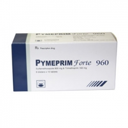 Thuốc kháng sinh PMP Pymeprim Fort 960