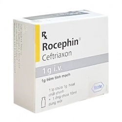 Rocephin Roche 1g x 10ml - Trị nhiễm khuẩn huyết