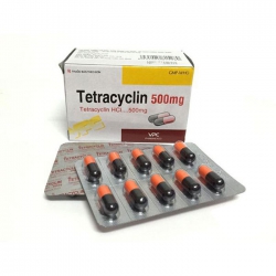 VPC Tetracycline 500mg, Hộp 100 viên