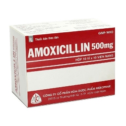 Thuốc Amoxicillin MKP 500mg, Hộp 100 viên