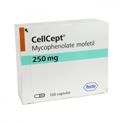 Cellcept 250mg  Roche, Hộp 100 viên