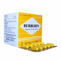 Thuốc hỗ trợ điều trị tiêu chảy BERBERIN - Berberin clorid 100mg