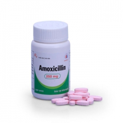 Thuốc kháng sinh DMC Amoxicillin 250mg, Chai 100 viên