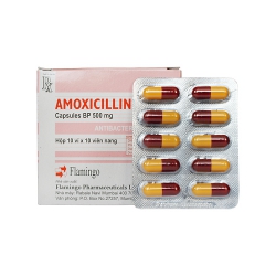 Thuốc kháng sinh AMOXICILLIN 500mg - Flamigo India