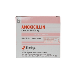 Thuốc kháng sinh AMOXICILLIN 500mg - Flamigo India