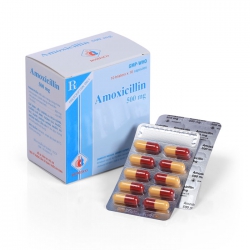Thuốc kháng sinh DMC Amoxicillin 500mg, Hộp 100 viên