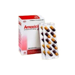 Thuốc kháng sinh Amoxycilin 500, Hộp 10 vỉ x 10 viên
