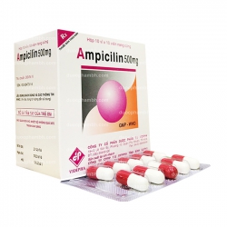 Thuốc kháng sinh AMPICILLIN 500 - Ampicilin 500mg