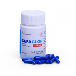 Thuốc kháng sinh Cefaclor 250mg Domesco (Xanh Xanh)