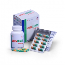 Thuốc kháng sinh DMC Cefalexin 250mg, Chai 200 viên