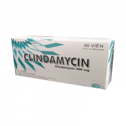 Thuốc kháng sinh Clindamycin 300mg Davipharm