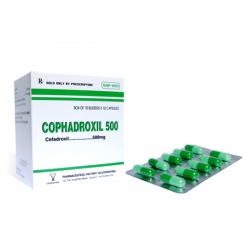 Thuốc kháng sinh Cophavina Cophadroxil 500mg, Hộp 100 viên