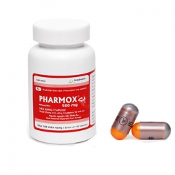 Thuốc kháng sinh Imexpharm Pharmox SA 500mg, Chai 100 viên