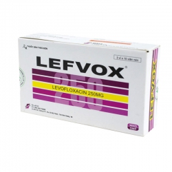 Thuốc kháng sinh Lefvox 250mg Davipharm