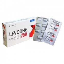 Thuốc kháng sinh LevoDHG 750mg, Hộp 14 viên