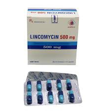 Thuốc kháng sinh Lincomycin 500 DMC - Lincomycin 500mg, Hộp 20 vỉ x 10 viên
