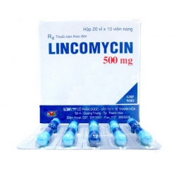 Thuốc kháng sinh Lincomycin 500, Hộp 20 vỉ x 10 viên
