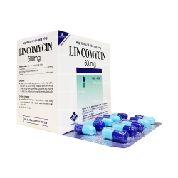 Thuốc kháng sinh Lincomycin 500mg