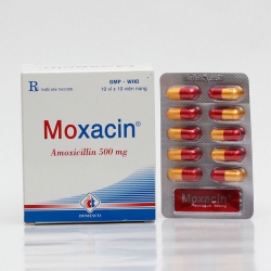 Thuốc kháng sinh Moxacin 500mg Domesco (NH)