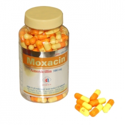 Thuốc kháng sinh DMC Moxacin 500mg, Chai 200 viên