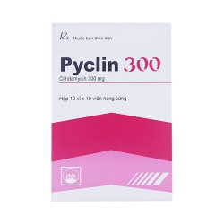 Thuốc kháng sinh PMP Pyclin 300