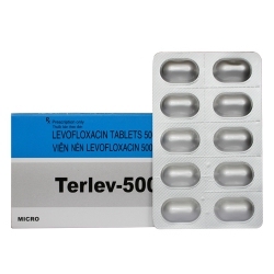 Thuốc kháng sinh Micro TERLEV 500mg, Levofloxacin 500mg