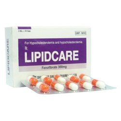 Thuốc Lipidcare 300, Fenofibrate 300mg Shinpoong, Hộp 30 viên