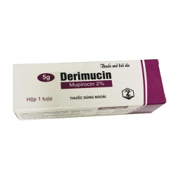 Thuốc mỡ bôi ngoài da Derimucin | Hộp 20 tuýp x 5g