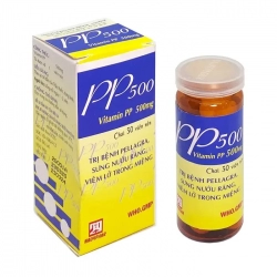 Thuốc PP 500mg Nadyphar, Vitamin pp 500mg, Chai 30 viên