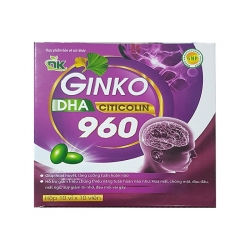 Tpbvsk DK Ginkgo DHA Citicolin 960 ( Tím )