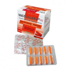 Vaco Aller F PE Vacopharm 10 vỉ x 10 viên – Thuốc cảm
